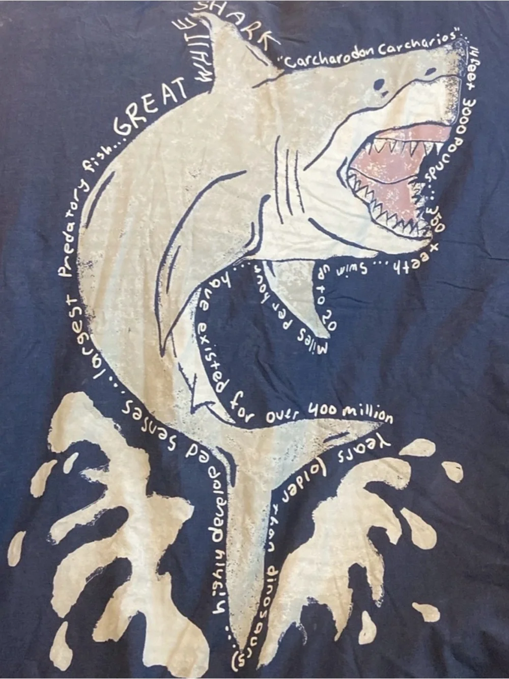 5 PC Pottery Barn kids Shark Duvet Set